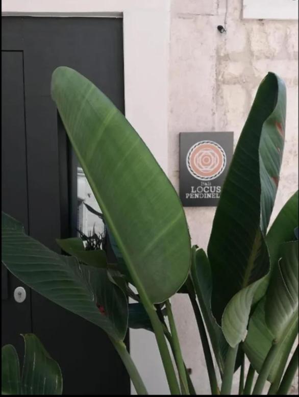 Locus Pendinelli Trani Bed & Breakfast Bagian luar foto